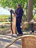 Camac Harp 34 Snaren, Ophalen