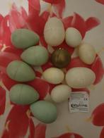Orginele Efteling eieren, Verzamelen, Efteling, Gebruikt, Ophalen of Verzenden, Gebruiksvoorwerp