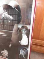 Michael Jackson, Ophalen