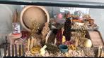 Hamster terrarium 60x50x40 cm, Ophalen, Kooi, 60 tot 90 cm, Minder dan 75 cm