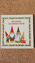 Het geheim van kabouter David, Boeken, Ophalen of Verzenden, Fictie algemeen