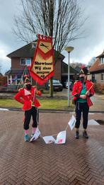 Carnavalsoutfit, grappig duo, Ophalen of Verzenden, Gedragen, Carnaval, Kleding