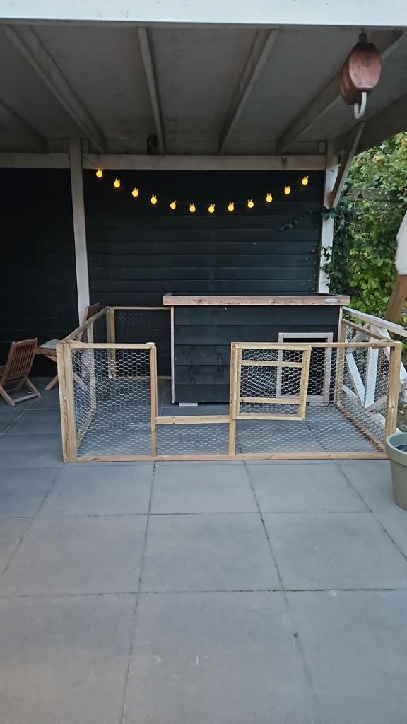 Gezocht voedster konijntje, Dieren en Toebehoren, Konijnen, Vrouwelijk