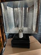 Lumen- King 30 stuks lampen / 2 kisten zie beschrijving, Tuin en Terras, Kweekspullen, Ophalen of Verzenden, Zo goed als nieuw