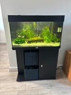 Aquarium Juwel Rio 125 zwart - compleet (zie beschrijving), Dieren en Toebehoren, Vissen | Aquaria en Toebehoren, Ophalen, Gebruikt