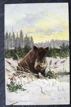 Het wilde zwijn met een mooie sneeuwbaard, Verzamelen, Ansichtkaarten | Dieren, Wild dier, Ongelopen, Voor 1920, Verzenden