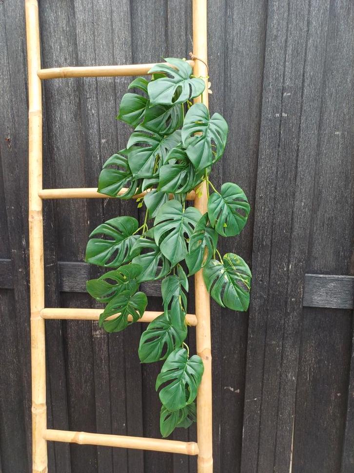 Prachtige kunst hangplant nieuw, Huis en Inrichting, Woonaccessoires | Kunstplanten en Kunstbloemen, Nieuw, Ophalen of Verzenden