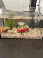 Aquarium, Dieren en Toebehoren, Ophalen, Gevuld zoetwateraquarium