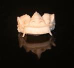 Zeer oude ring uit ivoor, periode vóór WW2, Sieraden, Tassen en Uiterlijk, Ringen, Wit, Ophalen of Verzenden, Zo goed als nieuw