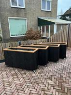 Steigerhouten plantenbak, Minder dan 60 cm, Rond, Nieuw, Ophalen of Verzenden