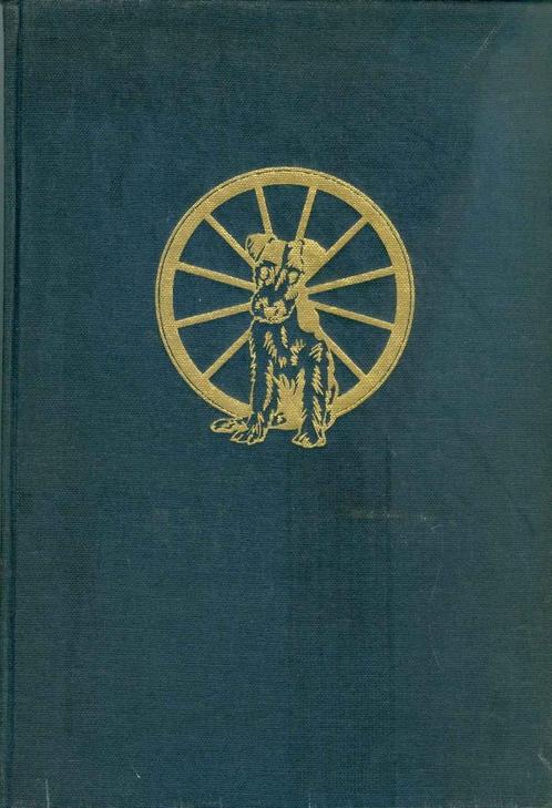 Verharen, G. Th. - Deining om Dorus, Boeken, Romans, Gelezen, Nederland, Ophalen of Verzenden