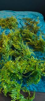 Decoratiemateriaal kunststof, verschillende soorten, Ophalen, Versiering