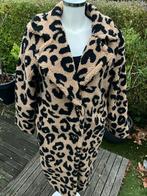 Nieuwe Panterprint Teddy Winterjassen, Kleding | Dames, Ophalen of Verzenden, Nieuw, Maat 38/40 (M), Bruin