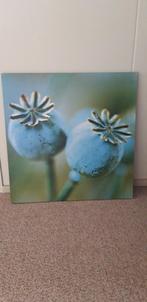 Nieuw,   canvas doek 56 x 56 cm. Papavers (opium), Huis en Inrichting, Woonaccessoires | Schilderijen, Tekeningen en Foto's, Ophalen