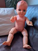 Schildpad pop groot, Verzamelen, Poppen, Ophalen of Verzenden, Gebruikt, Pop