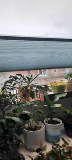 lichtdoorlatend plissé gordijn voor Veluxraam GGL UK08, Huis en Inrichting, Stoffering | Gordijnen en Lamellen, Ophalen, 100 tot 150 cm