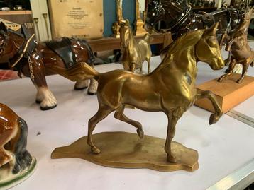 Bronzen/ messing paarden beschikbaar voor biedingen