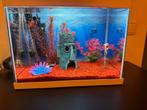 Aquarium decoratie, Dieren en Toebehoren, Vissen | Aquaria en Toebehoren, Ophalen, Zo goed als nieuw