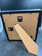 Schorpioen in lijst, Verzamelen, Ophalen of Verzenden, Nieuw, Insect, Opgezet dier