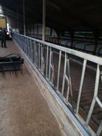 Melkvee stal inrichting, Ophalen, Veehouderij, Stalinrichting