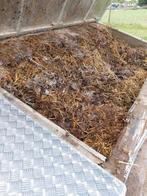 Gratis mest, Tuin en Terras, Aarde en Mest, Ophalen of Verzenden