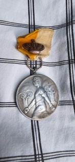 Medaille, Postzegels en Munten, Penningen en Medailles, Ophalen of Verzenden