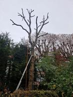 Schoolverlaters gezocht., Ophalen of Verzenden, Volle zon, Overige soorten