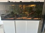 Juwel rio 450 3D achterwand 400l proficristal pomp led timer, Ophalen, Gebruikt, Gevuld zoetwateraquarium