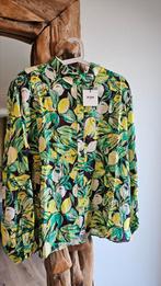 NIEUW met kaartjes en in verpakking, Ophalen of Verzenden, Nieuw, Maat 42/44 (L), Groen