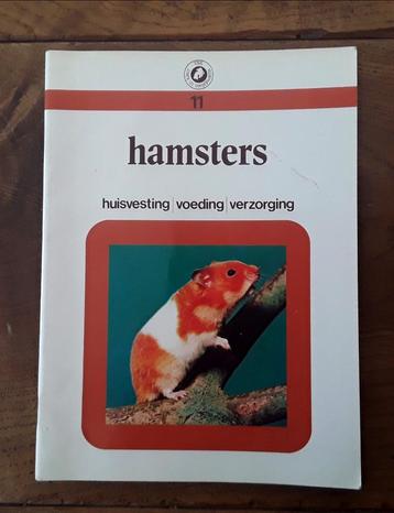 Hamsters - huisvesting voeding verzorging  beschikbaar voor biedingen