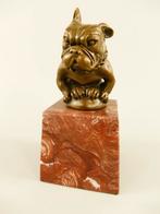 Bronzen Franse Bulldog H.16x8x8cm, Antiek en Kunst, Ophalen of Verzenden