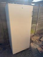 Koelkast passen kratten bier in. Bier tering snel koud!, Witgoed en Apparatuur, Ophalen, Gebruikt, 200 liter of meer, 60 cm of meer