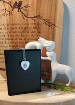 Zilveren assieraad hanger levensboom en ketting, Nieuw, Ophalen of Verzenden, Info@lievesaar.nl, Lieve Saar