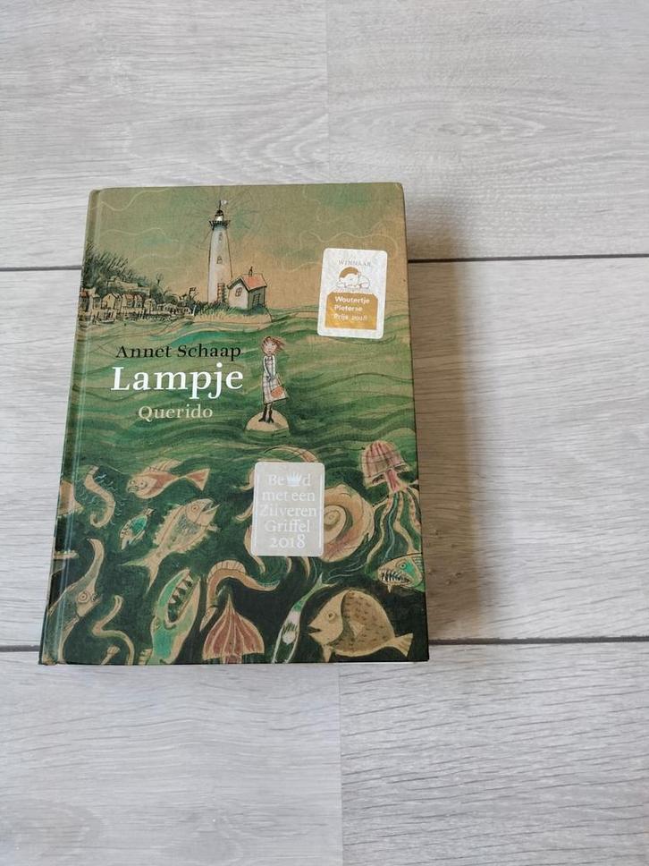 Annet Schaap - Lampje, Boeken, Kinderboeken | Jeugd | 10 tot 12 jaar, Zo goed als nieuw, Ophalen of Verzenden