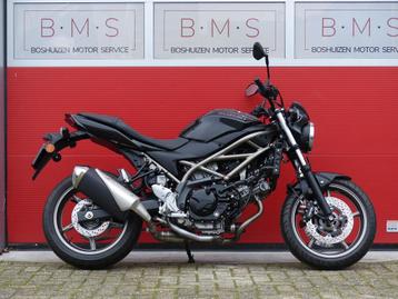 SUZUKI SV 650 N ABS (bj 2024) beschikbaar voor biedingen