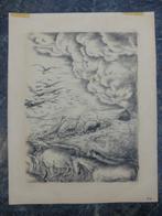 Litho "Dieren op weg naar de ark van Noach", ondertekend P.M, Antiek en Kunst, Ophalen of Verzenden