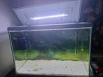 Leeg Aquarium Superfish 110 liter, Dieren en Toebehoren, Vissen | Aquaria en Toebehoren, Ophalen, Zo goed als nieuw, Leeg aquarium