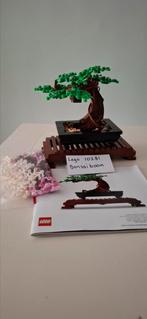 Lego 10281 bonsaiboom, lego,18+, bonsai, botanicals, Kinderen en Baby's, Speelgoed | Duplo en Lego, Ophalen of Verzenden, Zo goed als nieuw