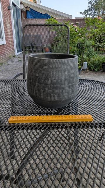Bloempot beschikbaar voor biedingen