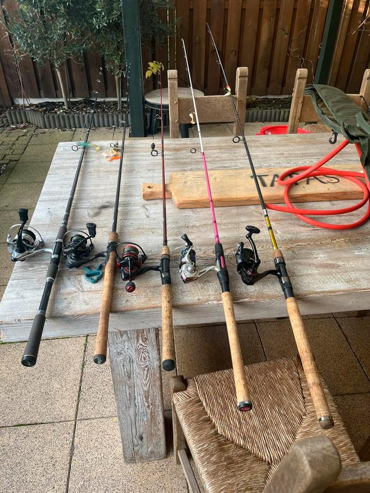 Diverse spinhengels, Watersport en Boten, Hengelsport | Roofvissen, Zo goed als nieuw, Complete set, Ophalen