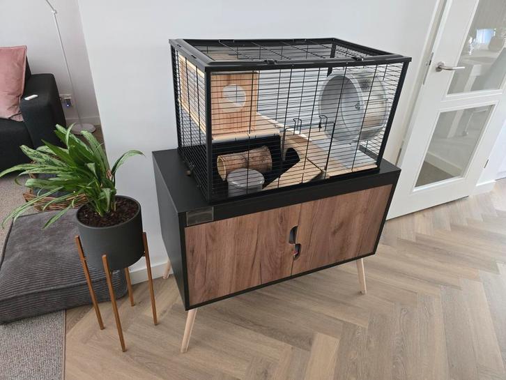 Zolux kast (zonder kooi) te koop, Dieren en Toebehoren, Knaagdieren en Konijnen | Hokken en Kooien, Gebruikt, Kooi, 60 tot 90 cm