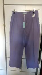 broek van Dreamstar, Nieuw, Dreamstar, Paars, Maat 42/44 (L), Nieuw