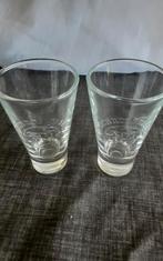 SCHROBBELER glazen, 11 cm hoog, 2 stuks, Ophalen of Verzenden, Zo goed als nieuw, Borrel- of Shotglas