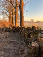 Brandhout, Tuin en Terras, Haardhout, 6 m³ of meer, Ophalen of Verzenden, Overige houtsoorten, Stammen