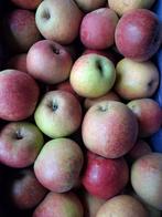 Goudreinetten, appels, Ophalen