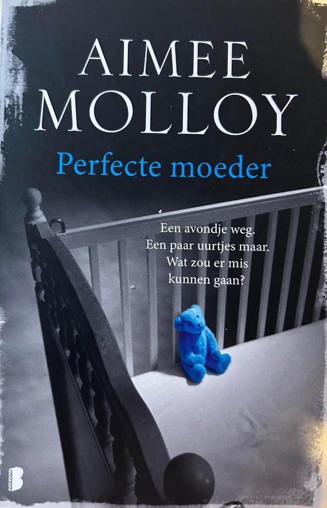 Aimee Molloy - Perfecte moeder, Boeken, Thrillers, Zo goed als nieuw, Ophalen of Verzenden