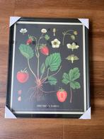 Ikea set van 2 ingelijste posters, Minder dan 50 cm, 50 tot 75 cm, Ophalen of Verzenden, Zo goed als nieuw