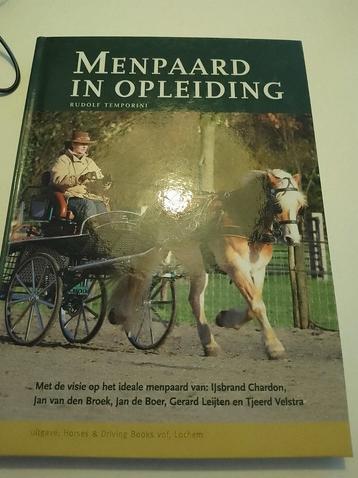 R. Temporini - Menpaard in opleiding beschikbaar voor biedingen