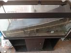 Aquarium, Ophalen, Gebruikt, Leeg aquarium