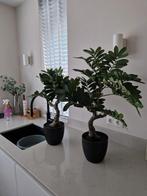 2 kunstplanten, Huis en Inrichting, Kamerplanten, Minder dan 100 cm, Halfschaduw, Ophalen